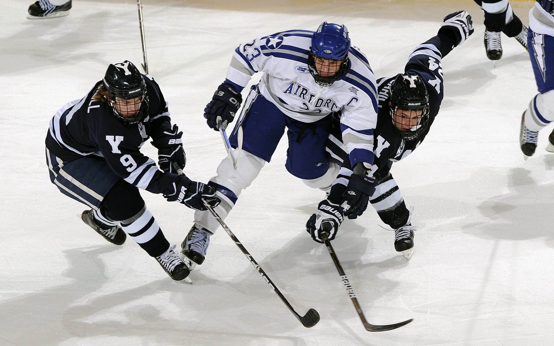 开云体育官方下载-哈兰德续约曼城，未来可期，哈兰德会去曼城